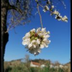 Osterwochenende-Krenglbach-011