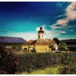 Blueten-und-Erntezeit-Krenglbach-Juli-2020-035