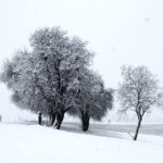 Erster-Schnee-2021-in-Krenglbach-003