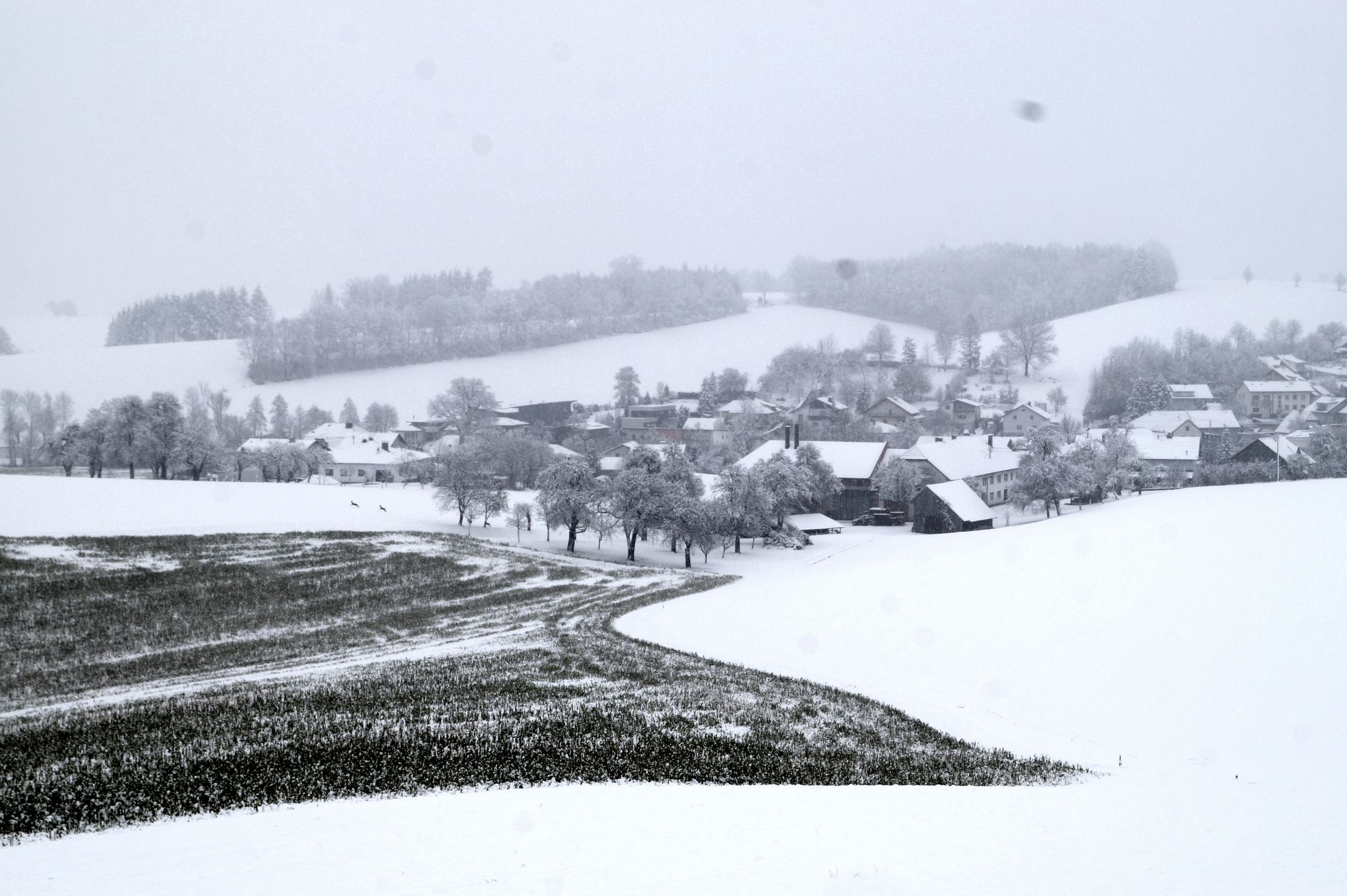 Erster Schnee 2021 in Krenglbach