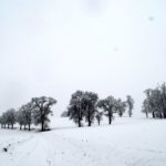 Erster-Schnee-2021-in-Krenglbach-014
