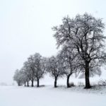 Erster-Schnee-2021-in-Krenglbach-015