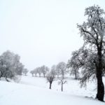 Erster-Schnee-2021-in-Krenglbach-019