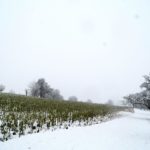 Erster-Schnee-2021-in-Krenglbach-023