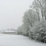Erster-Schnee-2021-in-Krenglbach-031