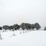Erster-Schnee-2021-in-Krenglbach-038