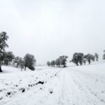 Erster-Schnee-2021-in-Krenglbach-043