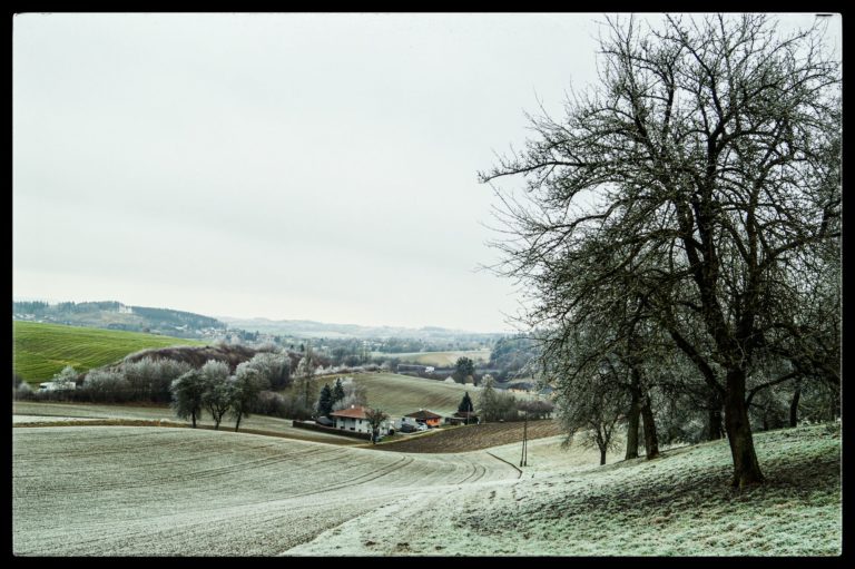 Rauhreif-am-Wundersberg-zu-Neujahr-009