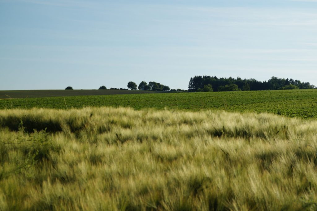 Juni 2021 – Krenglbach, Natur & Fußball