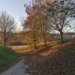 Oktober-2021-Krenglbach-068