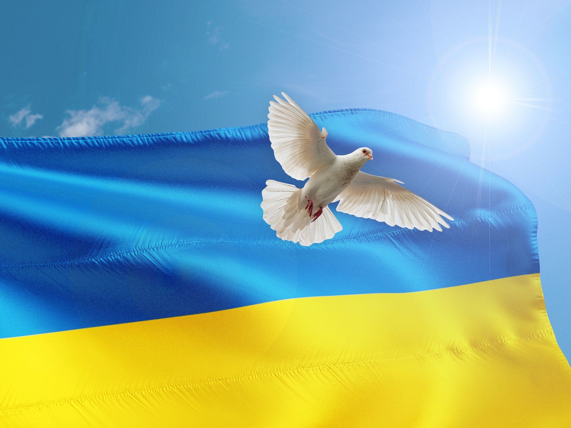 Hilfe für die Ukraine – das können WIR tun