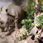 Eroeffnung-Bioddiversitaet-09-2022-006